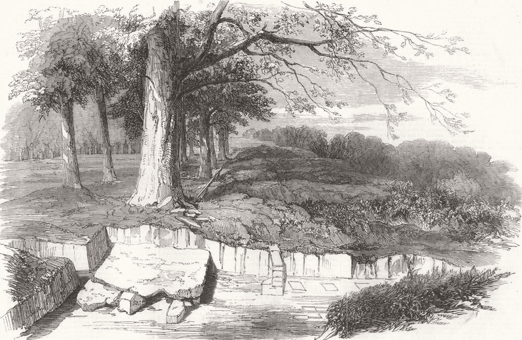 Associate Product SHROPSHIRE. Excavations on the site of a Roman Villa, Linley Hall 1856 print