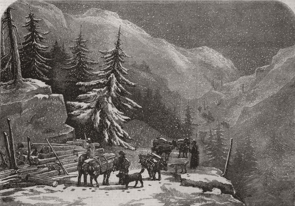 SWITZERLAND. Loading wood for the St Bernard hospice near St. Pierre 1858