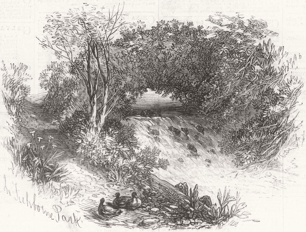 HAMPSHIRE. Waterfall in Tichborne Park, Alresford, Hants 1871 old print