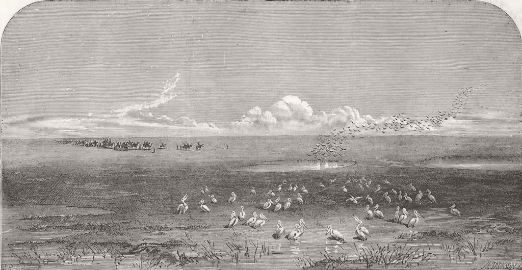 UKRAINE. Steppes of the Caspian 1854 old antique vintage print picture