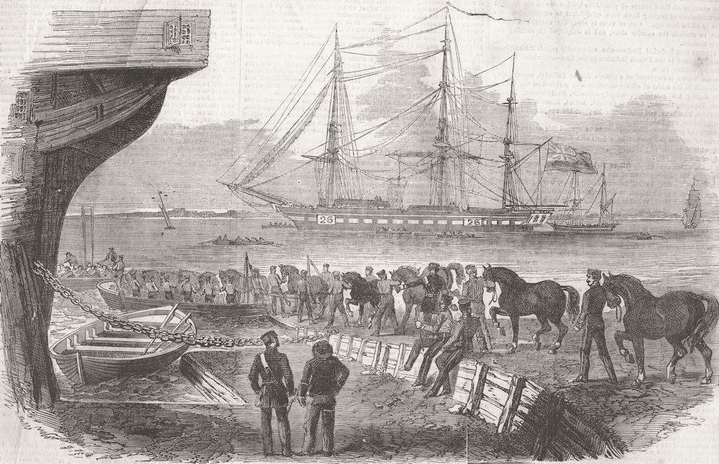 LONDON. Shipping horses, Royal Dockyard, Woolwich 1855 old antique print