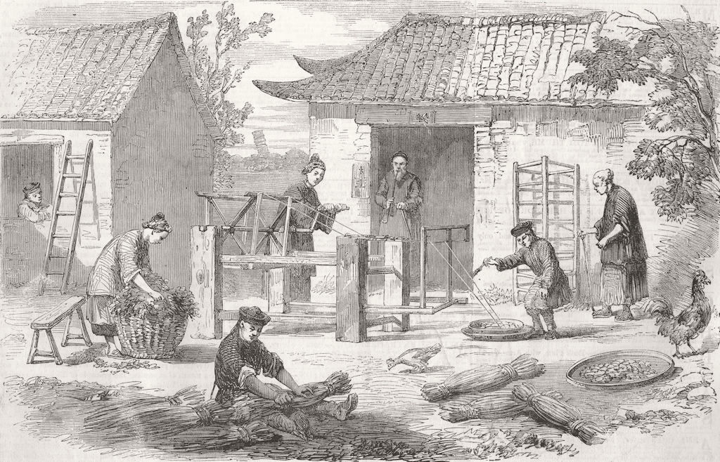 CHINA. Silk Culture In China. Preparing Raw Silk 1857 old antique print