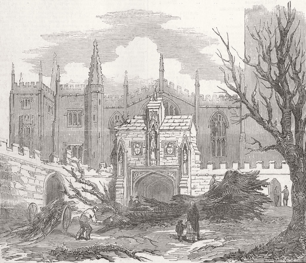OXON. Elm felled, Hurricane, Magdalen College, Oxford 1853 old antique print