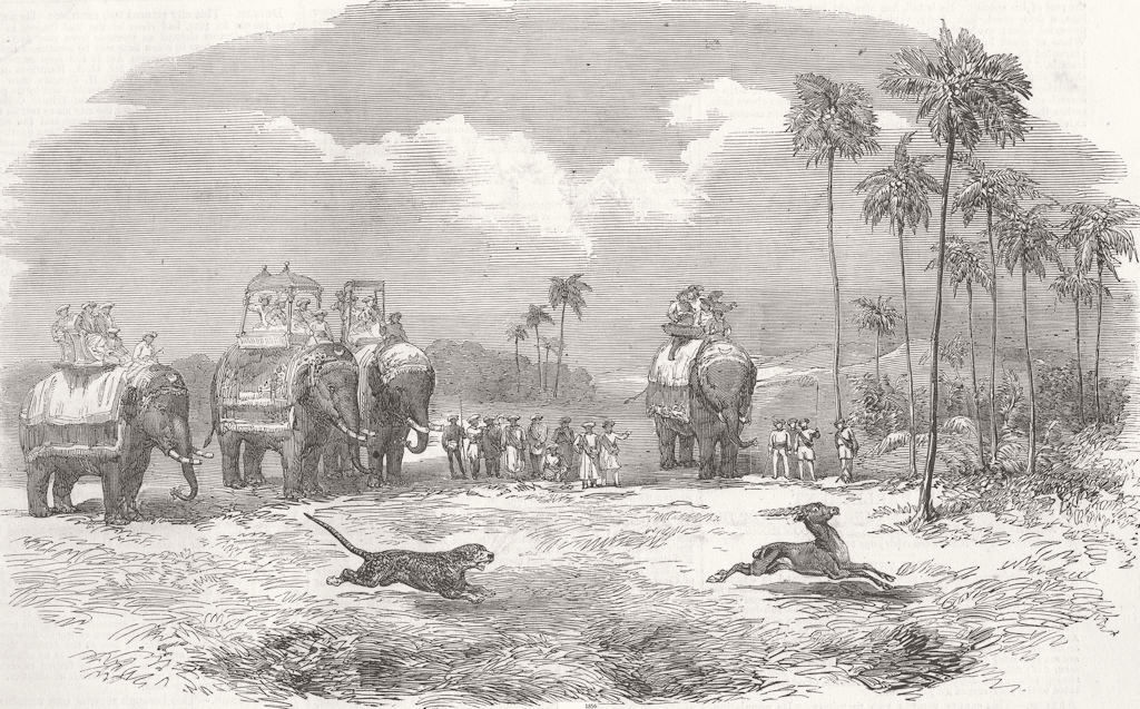 INDIA. Antelope-Hunting with the Leopard 1857 old antique print picture