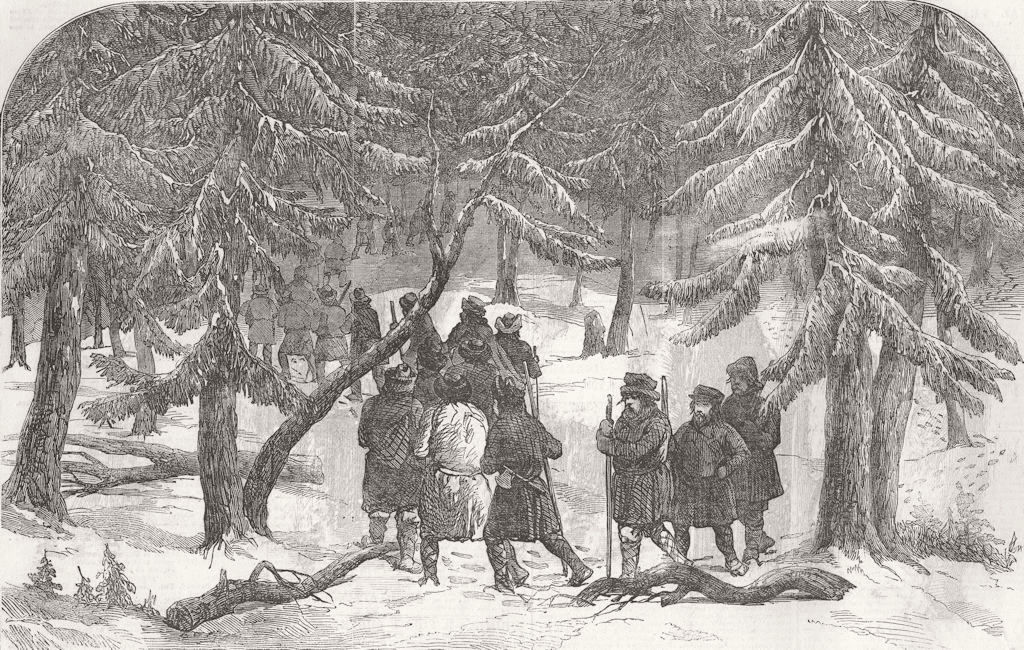 RUSSIA. Crimean War. Bear-Hunting in Russia 1856 old antique print picture