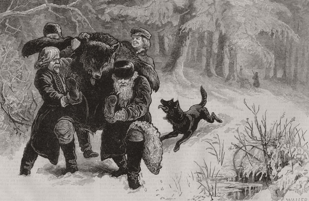 RUSSIA. The Imperial Bear Hunt in Russia 1874 old antique print picture