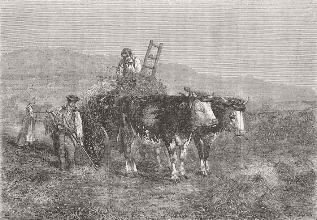 SWITZERLAND. Haymaking in Switzerland 1857 old antique vintage print picture
