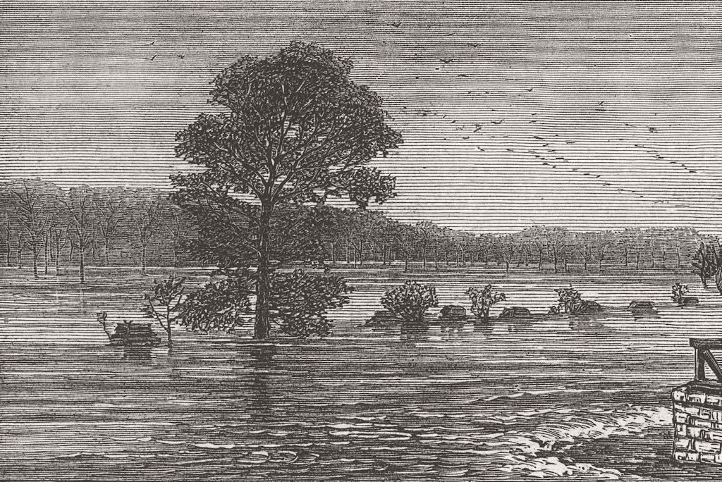 TENNESSEE. Floods. Cumberland River, from Rail Bridge 1874 old antique print