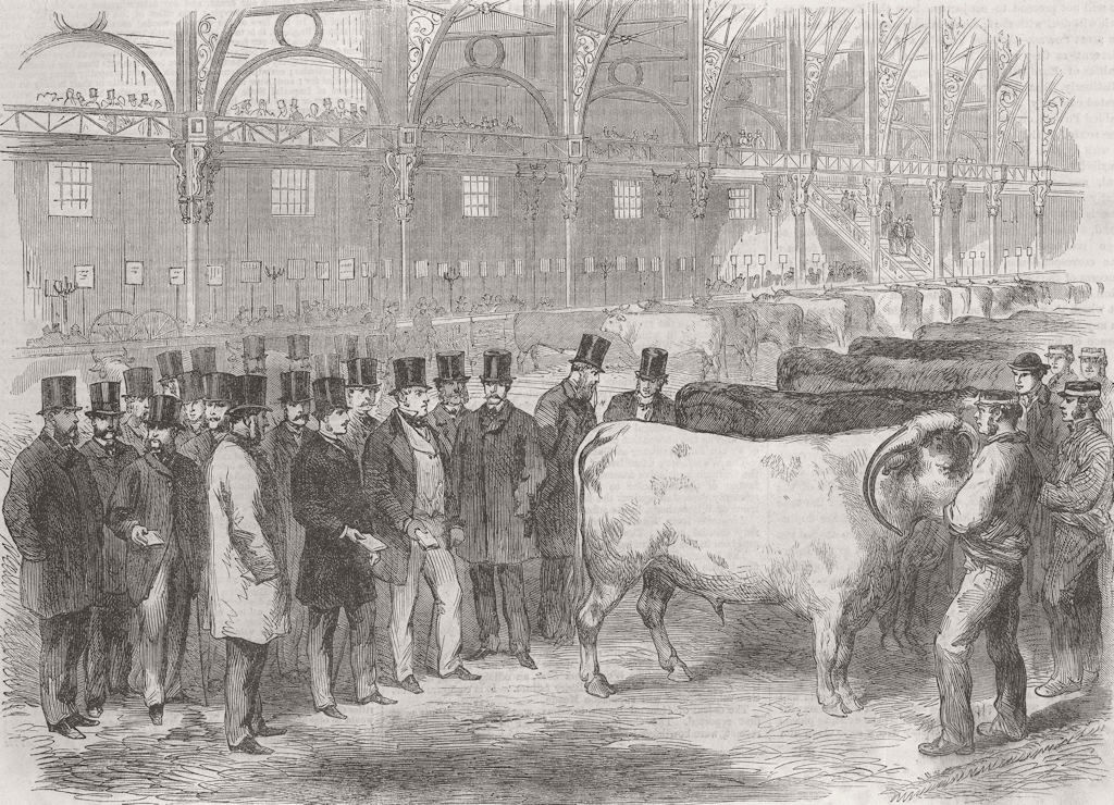 LONDON. Prince of Wales, Smithfield Club Cattle Show 1863 old antique print