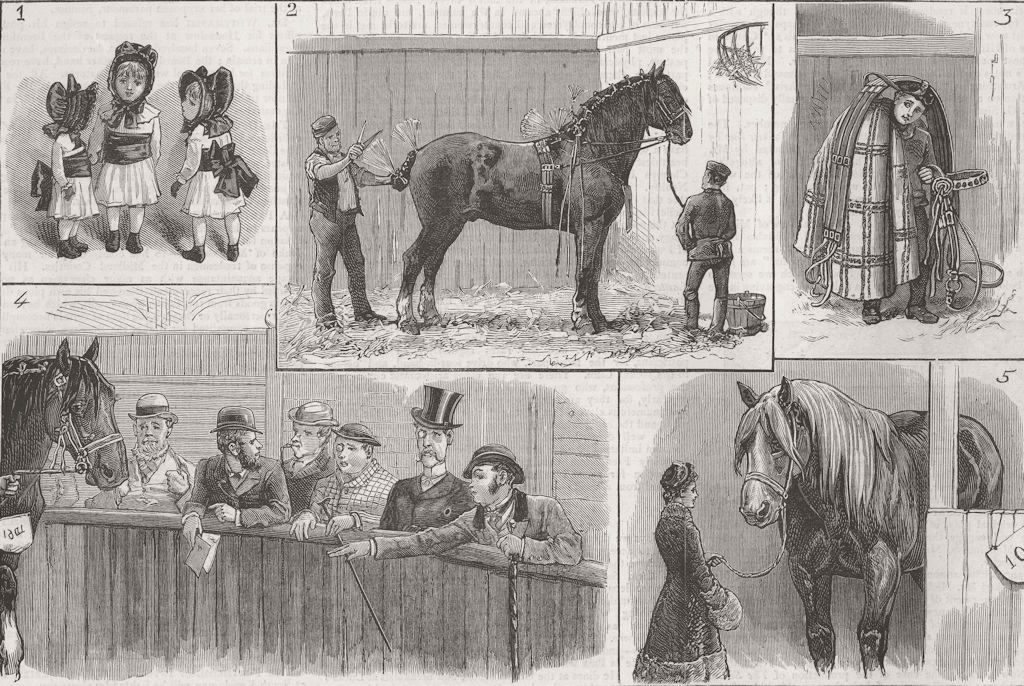 HORSES. Cart-Horse Show, Agricultural Hall 1883 old antique print picture