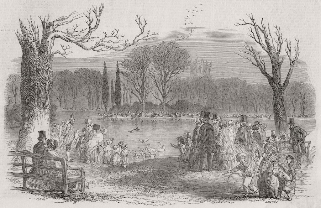 LONDON. Spring-St James's Park 1849 old antique vintage print picture