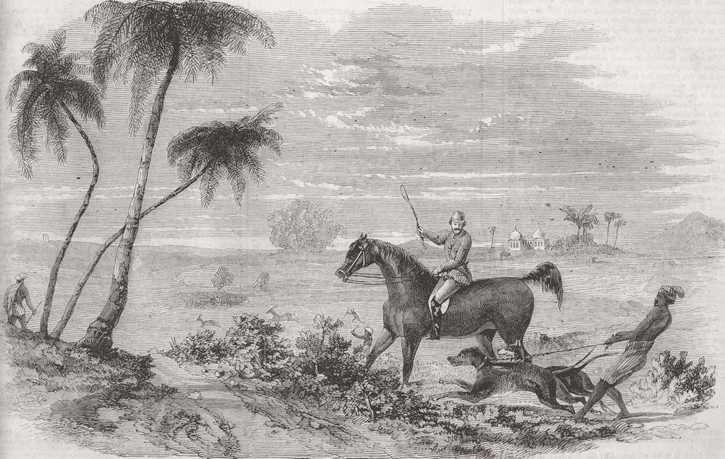 INDIA. Antelope hunting. Antelopes driven from cover 1858 old antique print