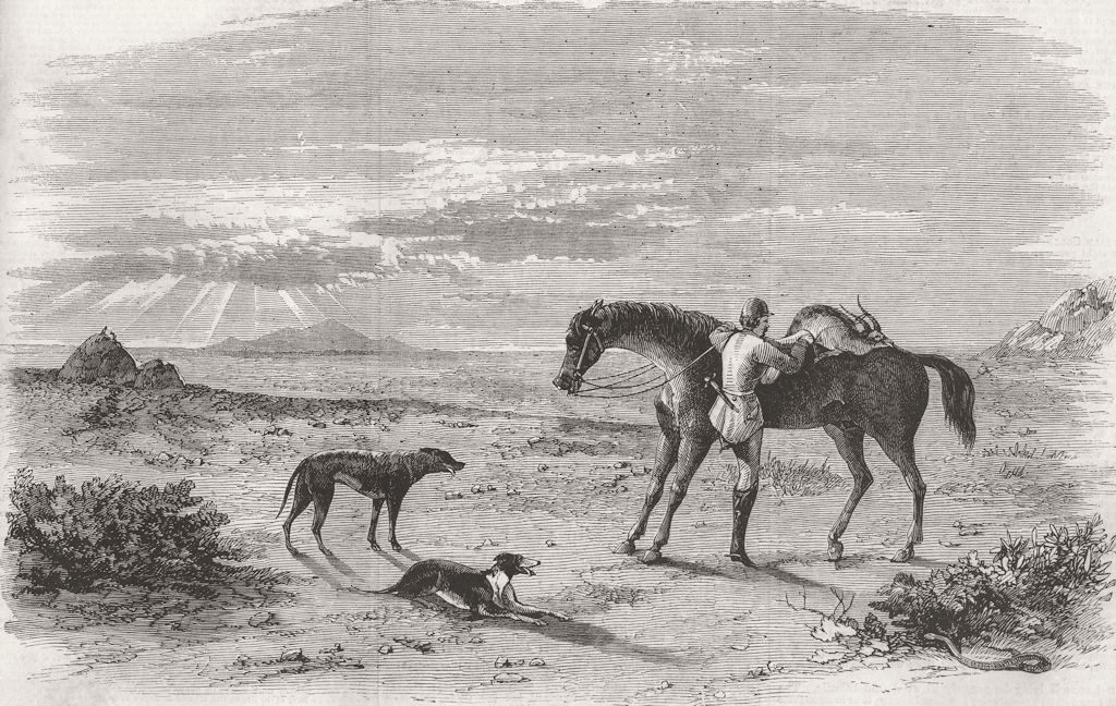 INDIA. Antelope hunting. Preparing to return 1858 old antique print picture