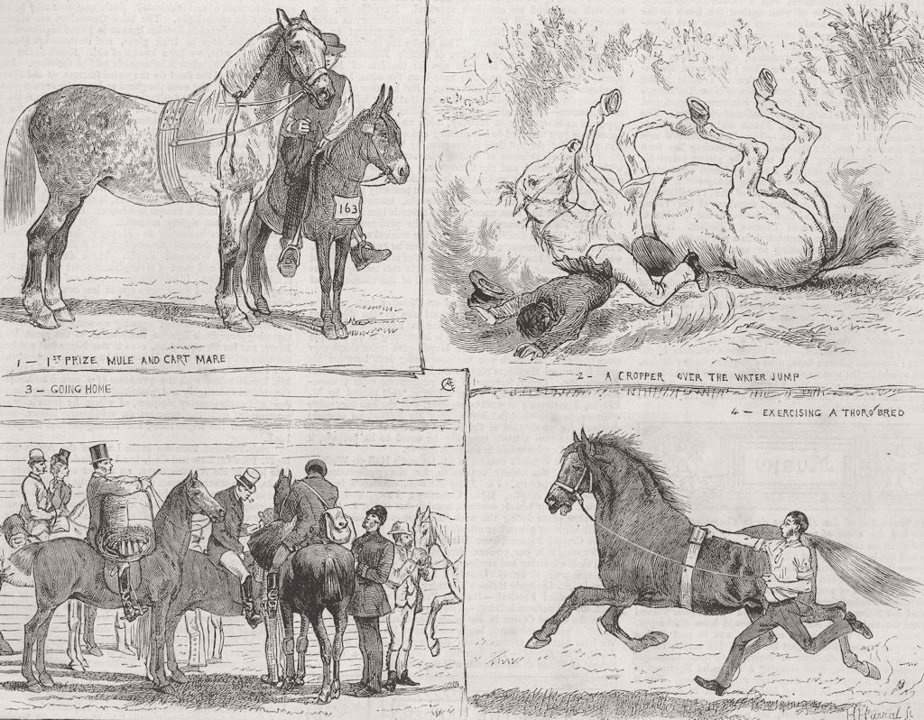 LONDON. Horse Show, Alexandra Park 1873 old antique vintage print picture