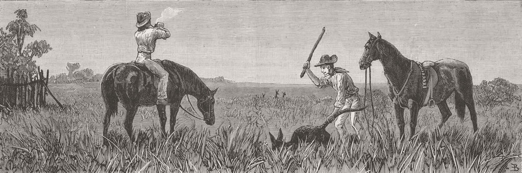 AUSTRALIA. Wallaby Hunting, Queensland 1882 old antique vintage print picture