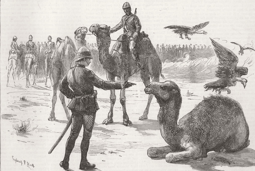 SUDAN. Camel-Desert March to Abu Kru 1885 old antique vintage print picture
