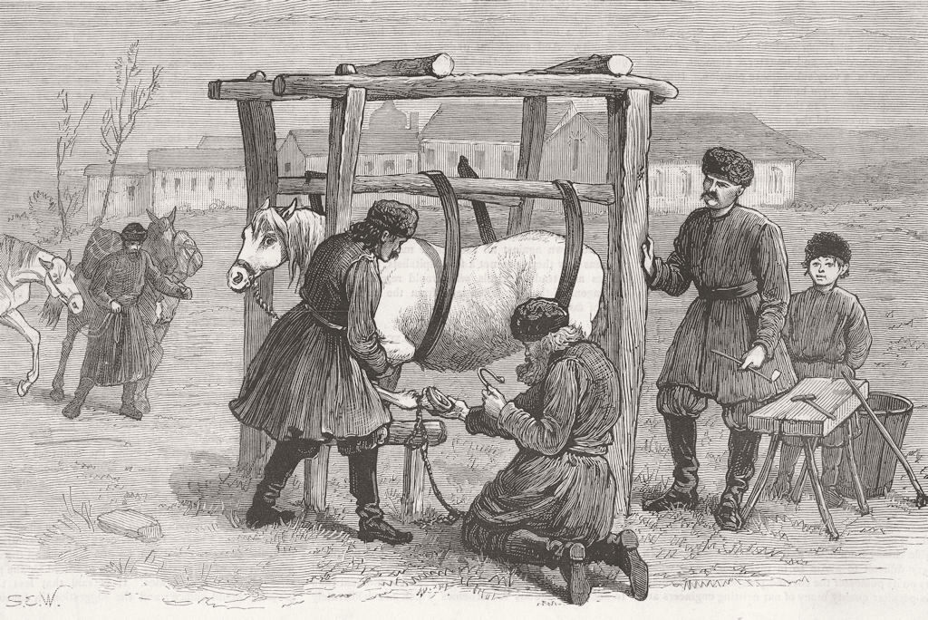 RUSSIA. Shoeing Horses, camp, Kischineff 1877 old antique print picture