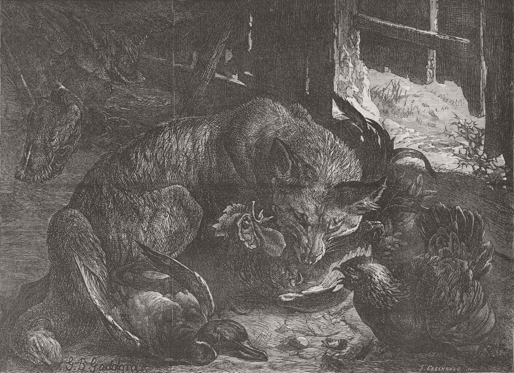 Associate Product FOXES. Foraging for Christmas dinner 1867 old antique vintage print picture