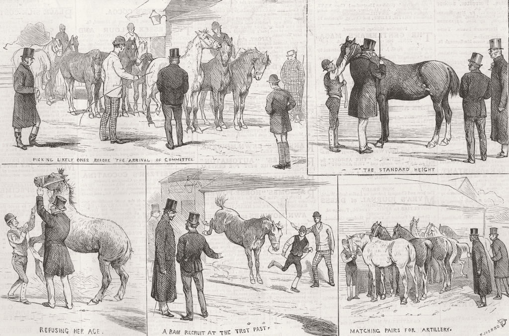 Associate Product LONDON. Purchasing army horses, Redhill, Edgware 1878 old antique print