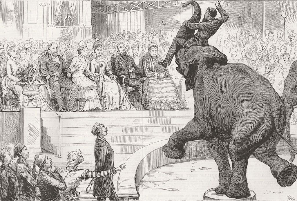 LONDON. Elephant performing for Queen 1876 old antique vintage print picture