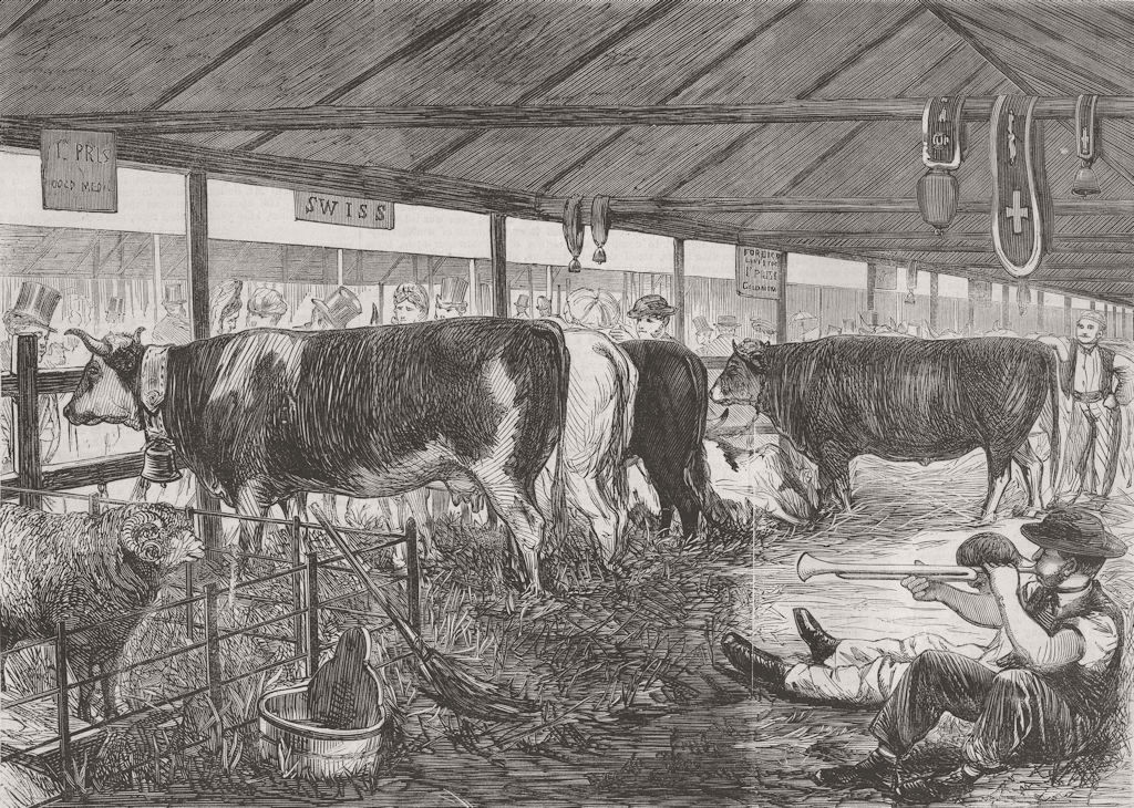 LONDON. Farm show, Battersea Park-Swiss Cattle Shed 1862 old antique print