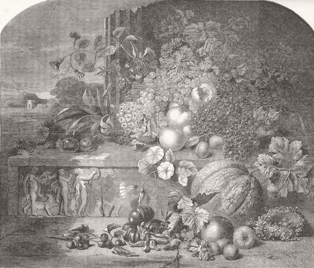 Associate Product FOOD. Royal Academy. No 611 Fruit 1853 old antique vintage print picture