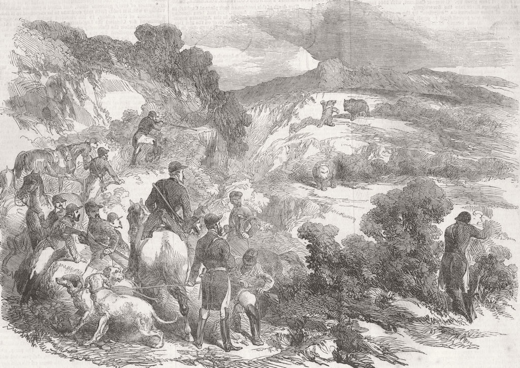 MOUNTAINS. Bear-Hunt in the Pyrenees 1853 old antique vintage print picture