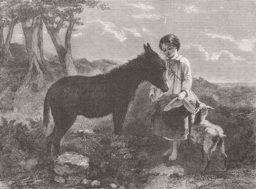 DONKEYS. Humble Fare 1858 old antique vintage print picture