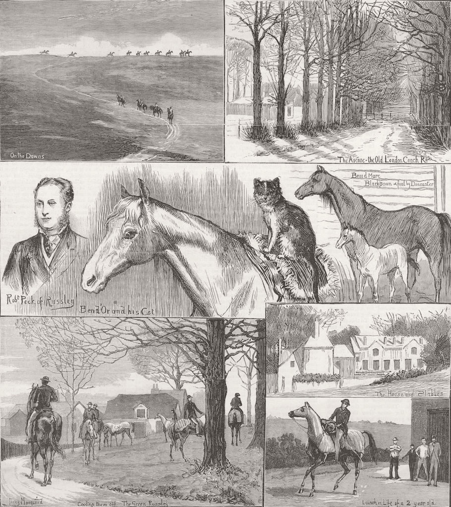 Associate Product WILTS. A day at the Russley Stables 1881 old antique vintage print picture