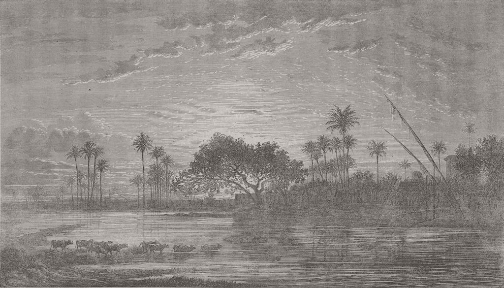 EGYPT. Sunset of the Banks of Nile 1859 old antique vintage print picture
