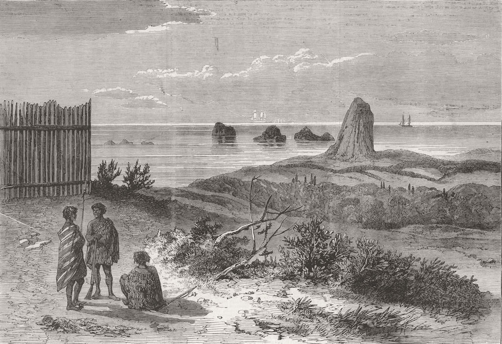 NEW ZEALAND. Sugar-loaf Islands, from Waireka Hill 1863 old antique print