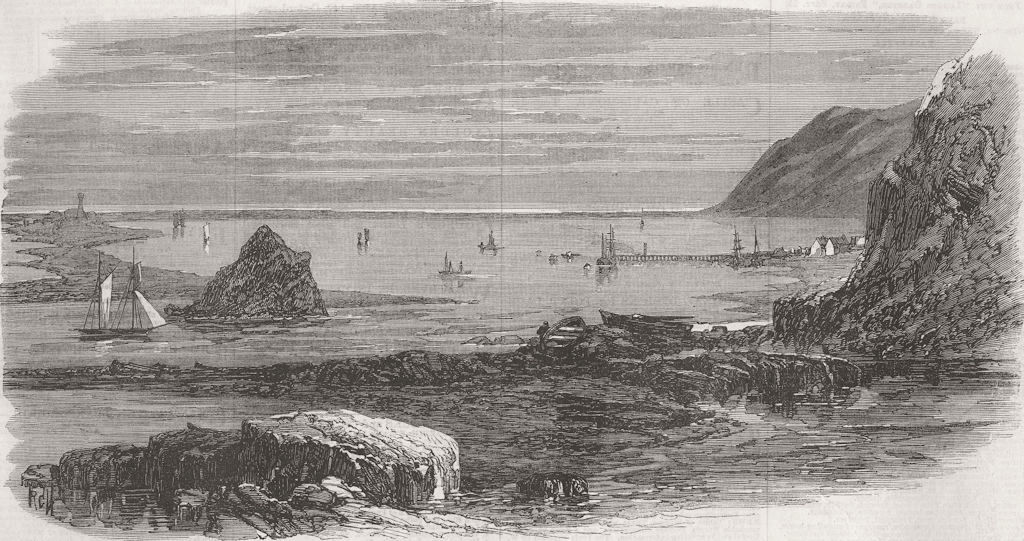 NEW ZEALAND. Natural breakwater & harbour, Nelson  1868 old antique print