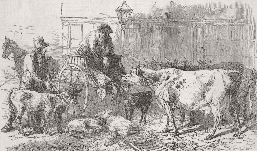 LONDON. Smithfield Market-Cows & Calves 1849 old antique vintage print picture