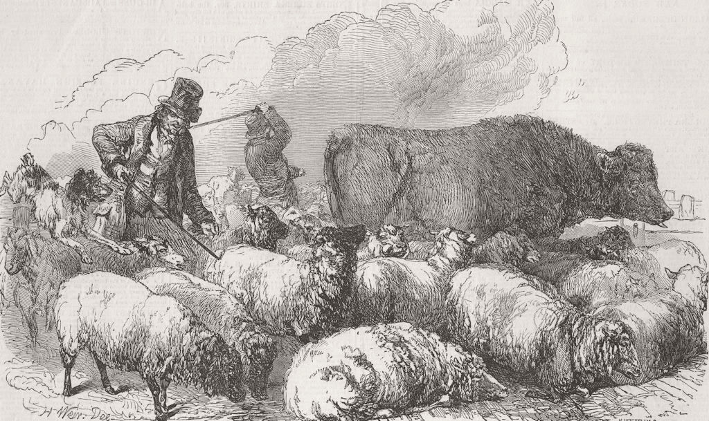 LONDON. Smithfield Market-Sheep-drover’s goad 1849 old antique print picture