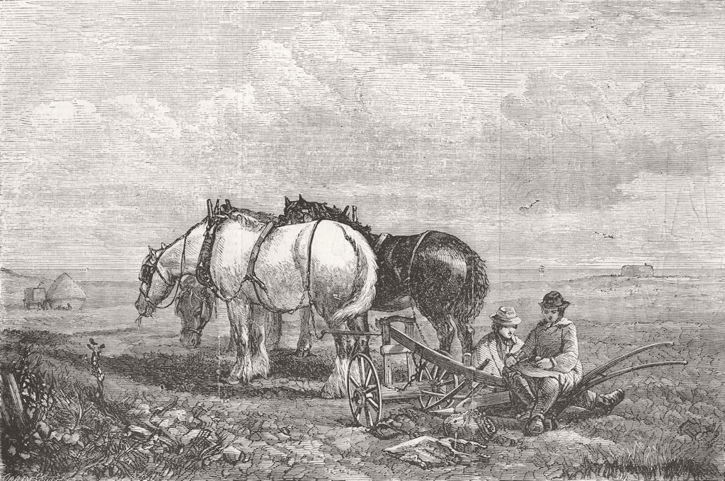 HORSES. Art Exhibition. mid-day meal 1856 old antique vintage print picture