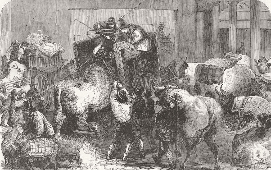 LONDON. Uncarting cattle, Baker St Bazaar 1856 old antique print picture