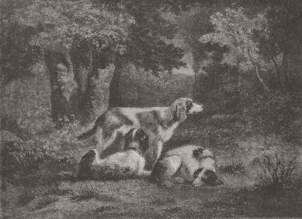 LANDSCAPES. Dogs, forest by Diaz 1855 old antique vintage print picture