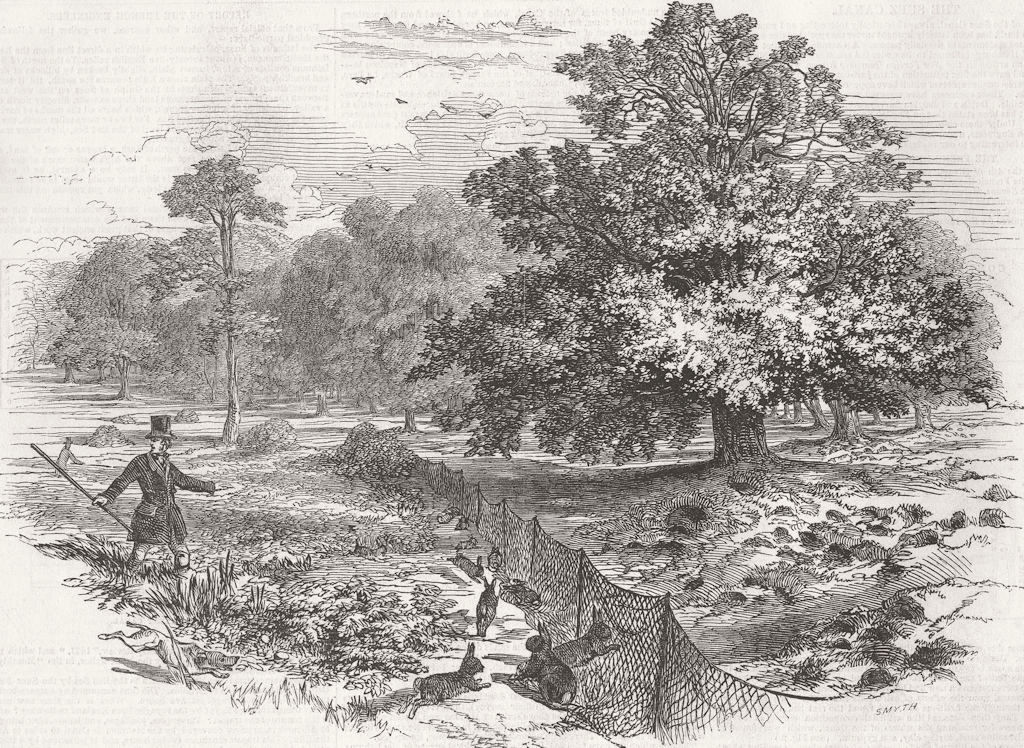 ESSEX. Rabbit Netting. Epping Forest 1847 old antique vintage print picture