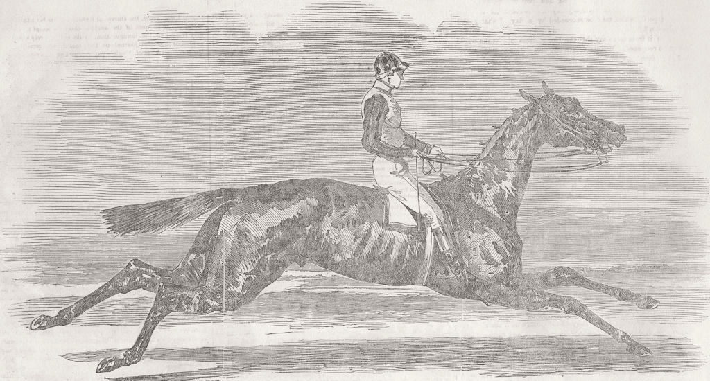 SURREY. Dayrell, winner of Derby  1855 old antique vintage print picture