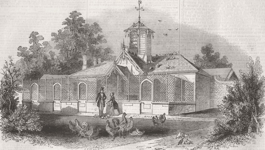 Associate Product BERKS. Queen's Poultry, Windsor. house, home park  1843 old antique print