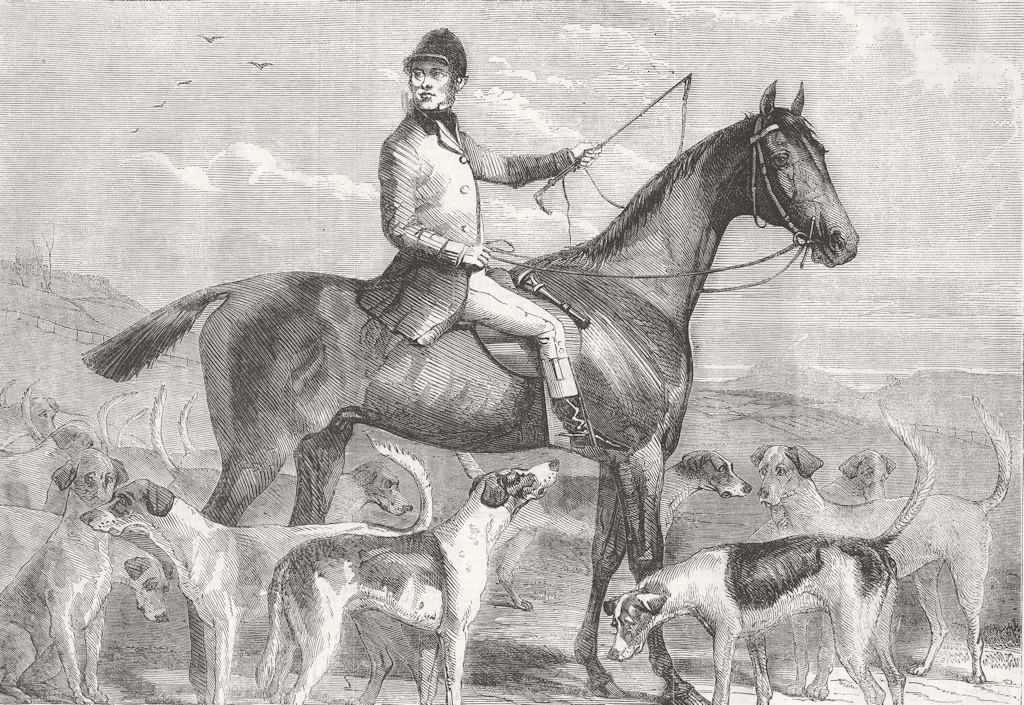 HORSES. Buccleuch's huntsman, Williamson, Norman 1856 old antique print