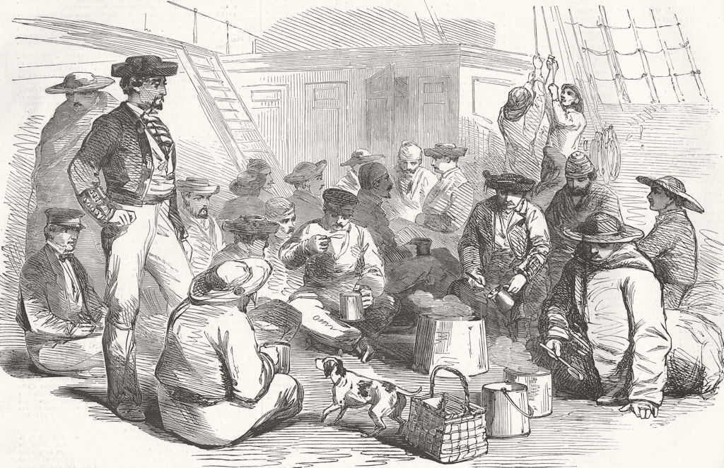 CRIMEA. Spanish muleteers, route to -Iberia ship 1855 old antique print