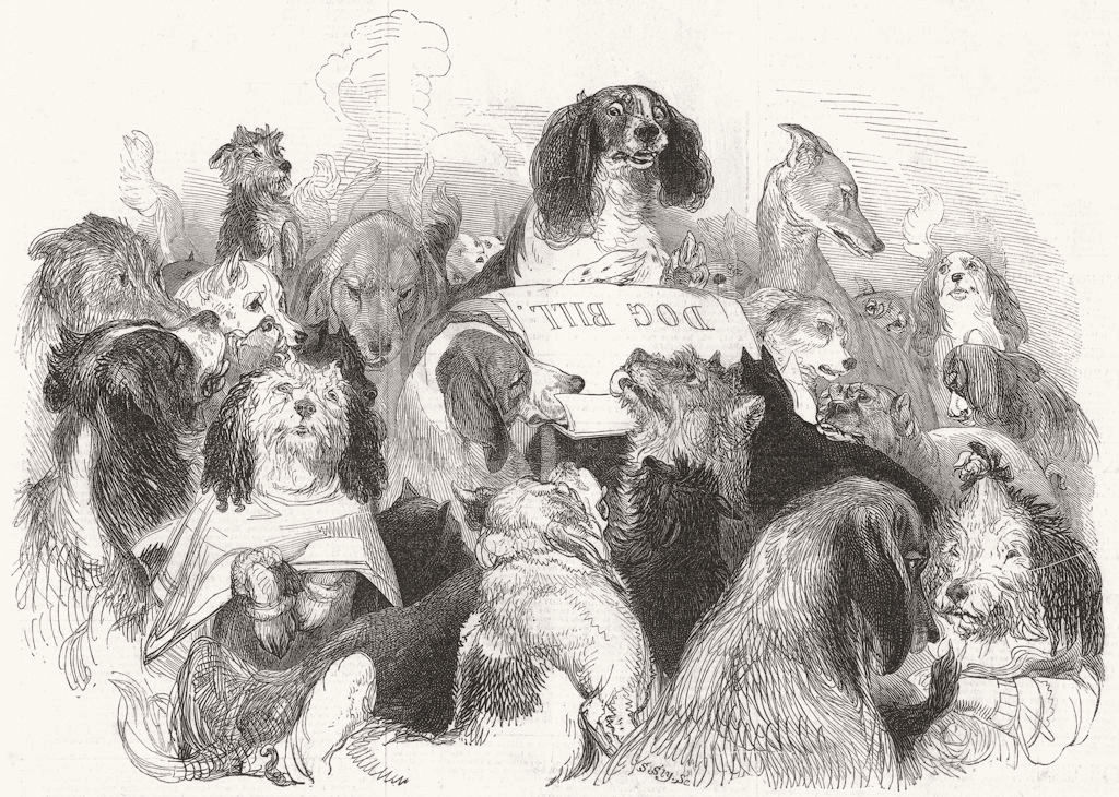 DOGS. The Dog Bill Committee, antique print, 1844