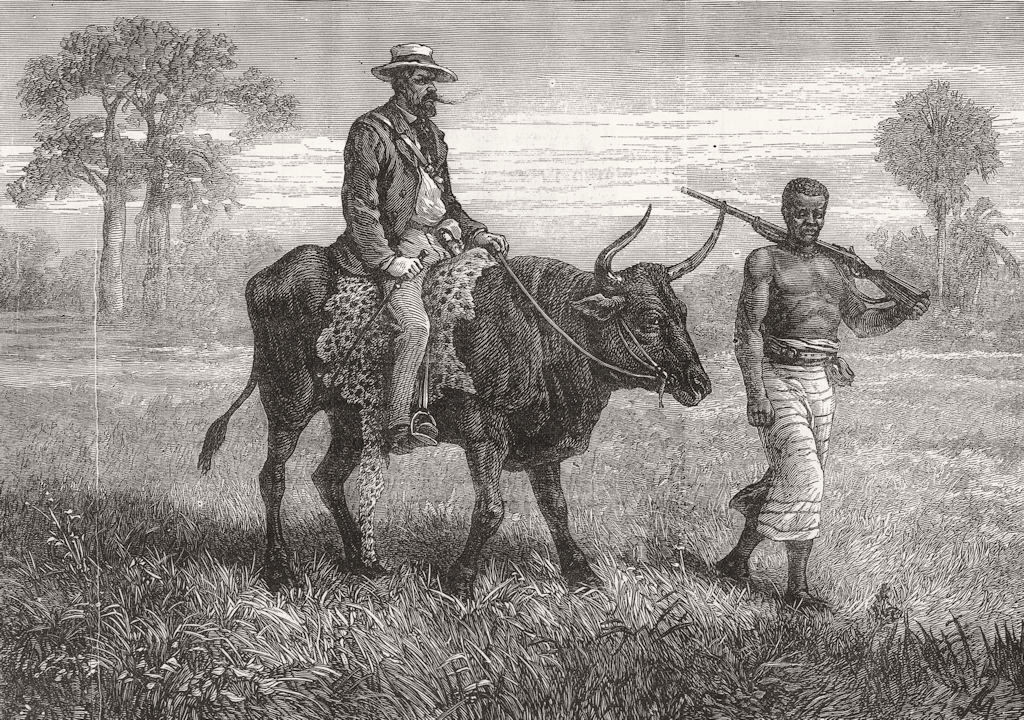 Associate Product ANGOLA. Travelling in Angola, antique print, 1880