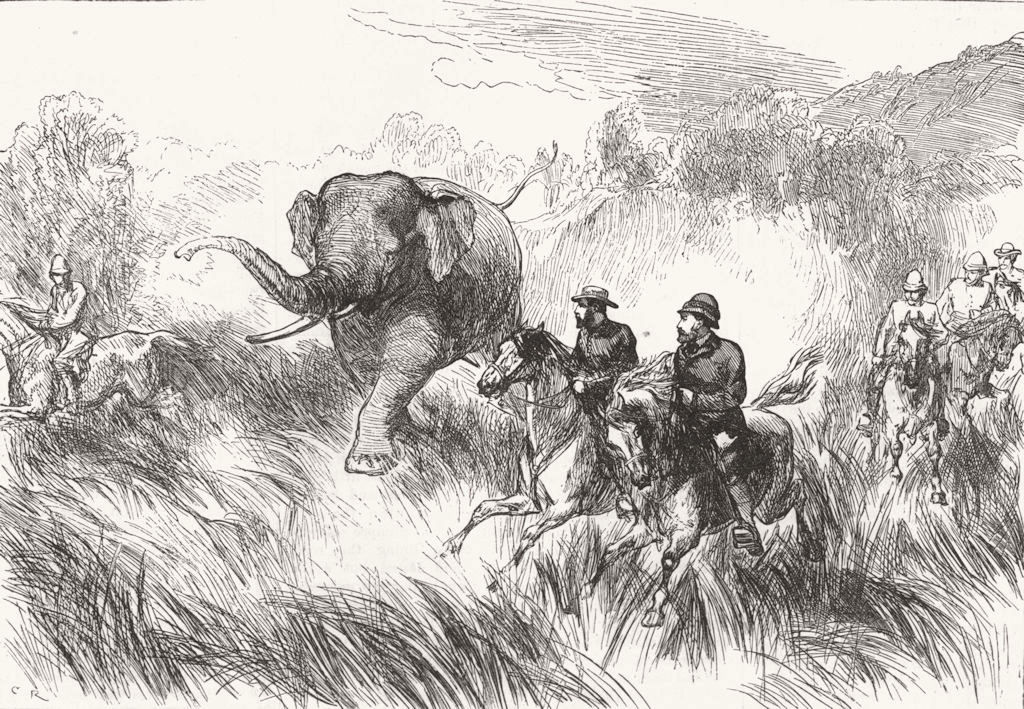 NEPAL. The Prince of Wales in the Nepal Terai Chased by a Wild Elephant, 1876