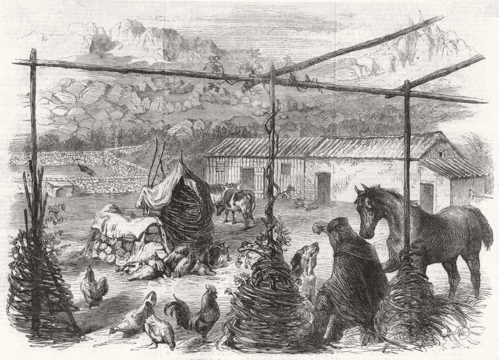 Associate Product ITALY. Garibaldi's Farmyard, antique print, 1861