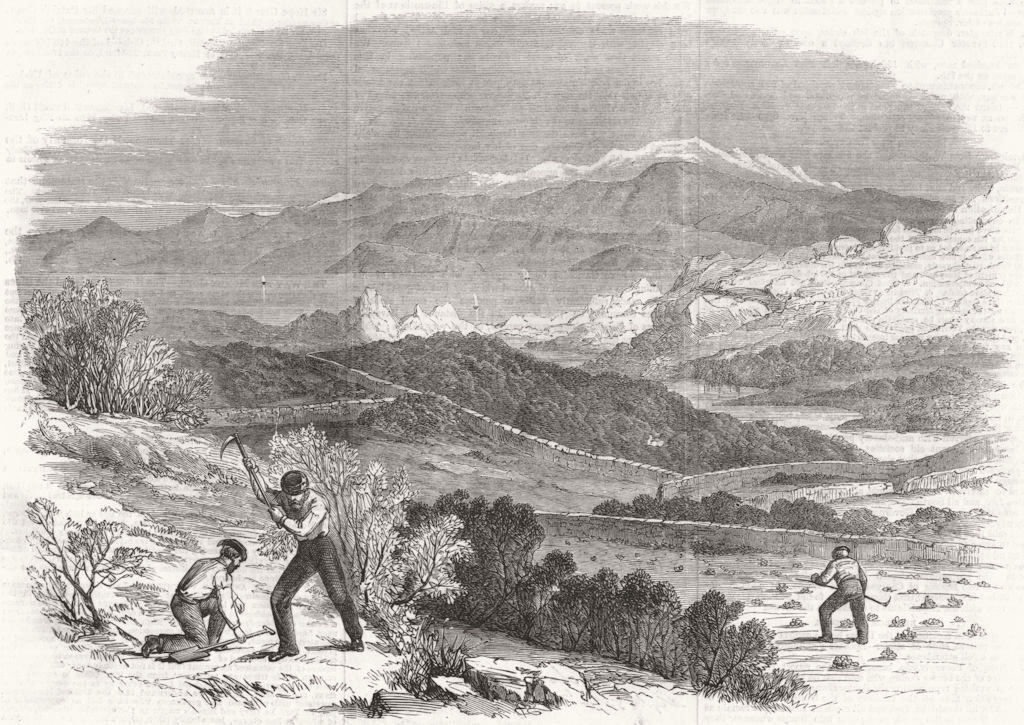 Associate Product ITALY. Scenes & Caprera. Garibaldi Digging Roots in his Favourite garden, 1861