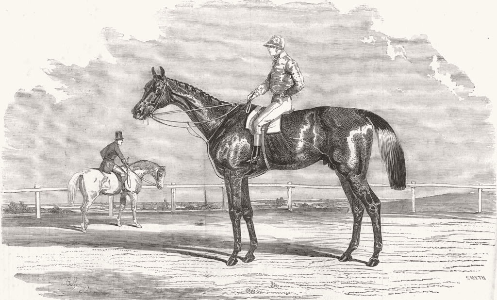 Associate Product HORSES. Kingston, The winner of the Goodwood cup, 1852, antique print, 1852
