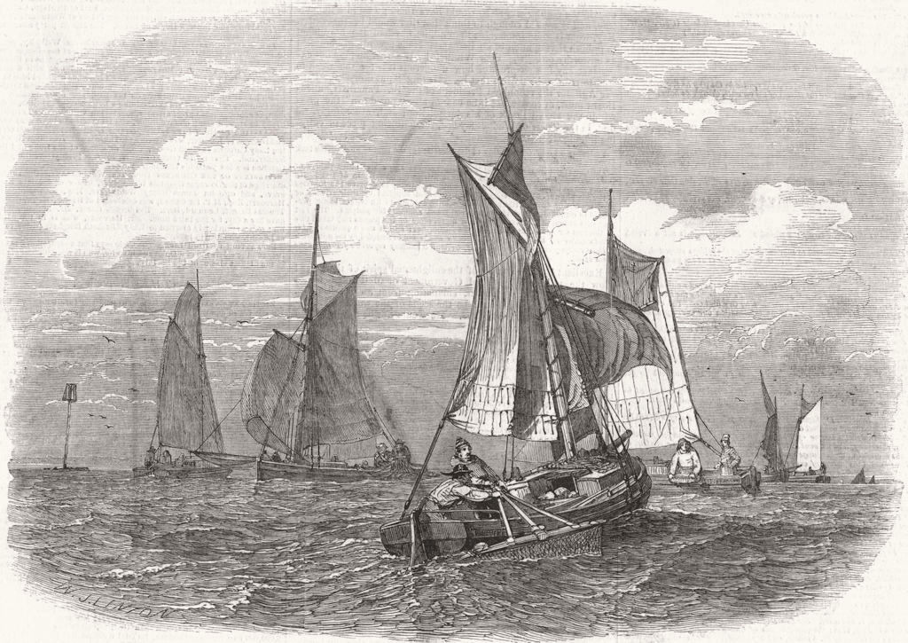 FISHING. Shrimping off the Bligh, at the mouth of the Thames 1847 old print