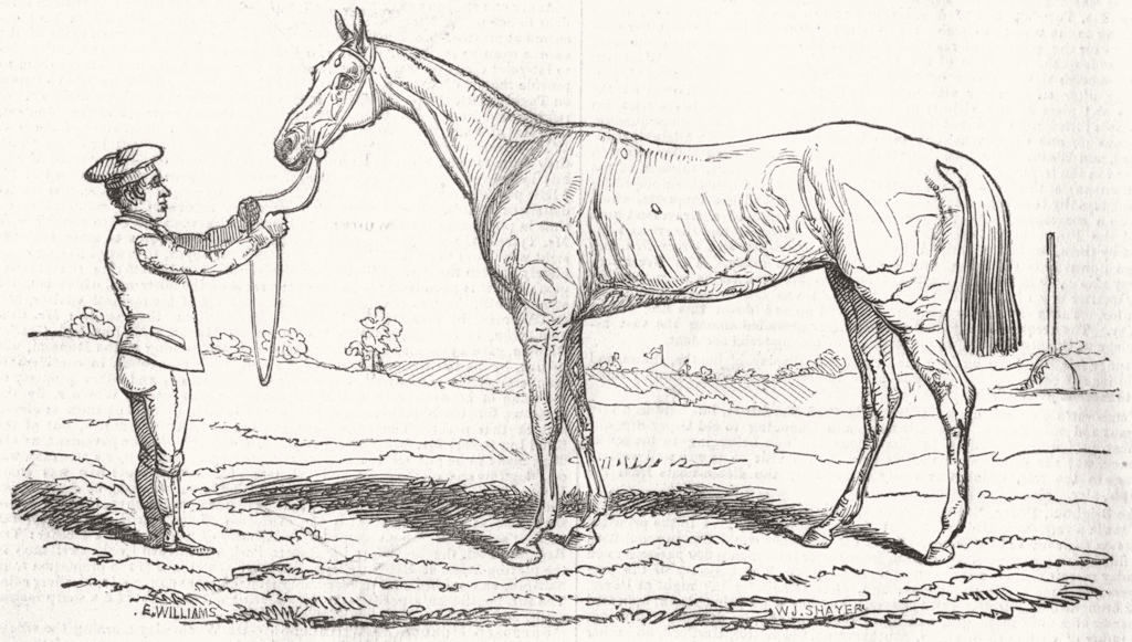 Associate Product ROYALTY. The Princess, Winner of The Oaks, antique print, 1844